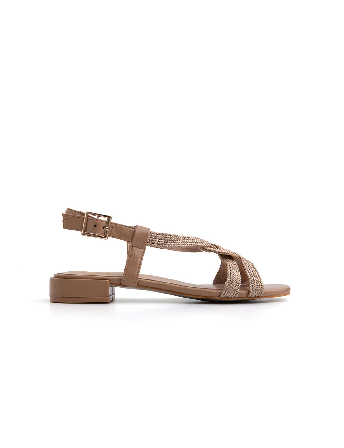 NGS26056CAMEL_1.jpg