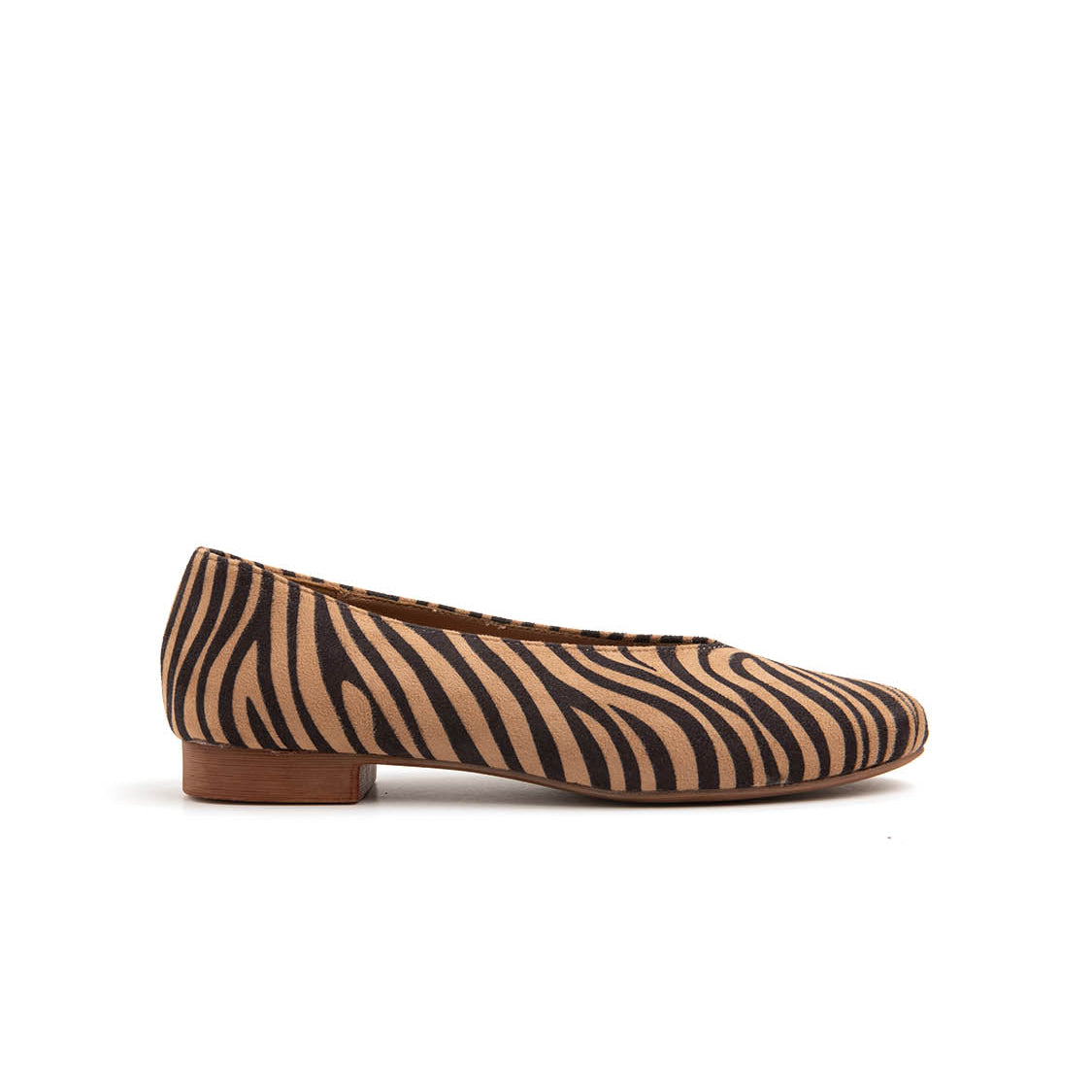 VB57345ZEBRA_1colcopia.jpg